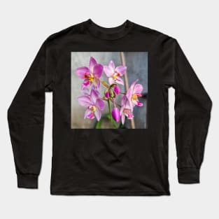 Pink Orchid (Spathoglottis x parsonsii) Long Sleeve T-Shirt